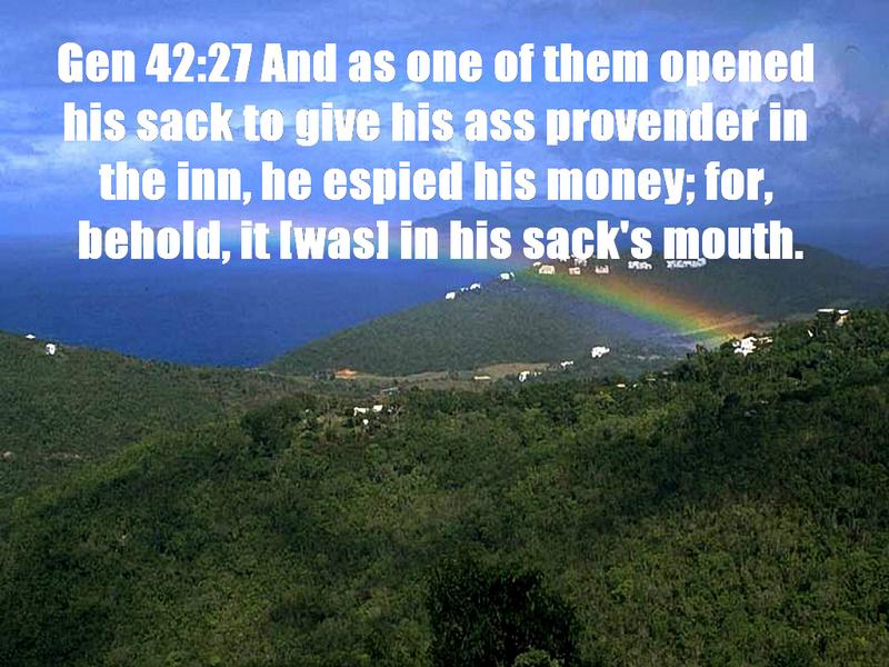 Click for Next Image