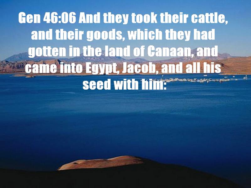 Click for Next Image